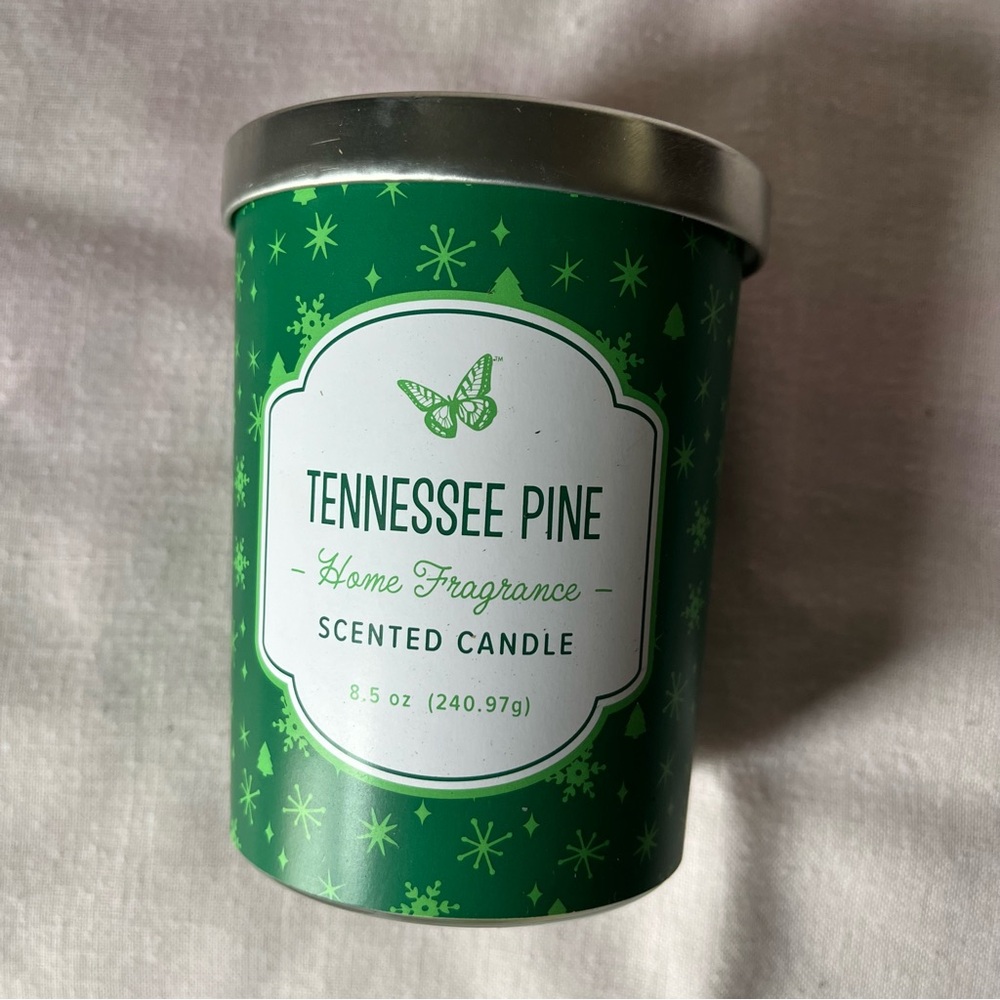 DOLLY PARTON JAR CHRISTMAS SCENTED CANDLE Tennessee Pine 8.5 oz DG Holly NEW